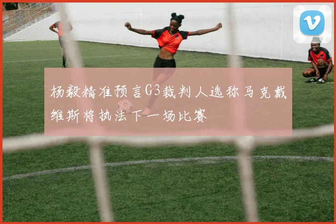 杨毅精准预言G3裁判人选称马克戴维斯将执法下一场比赛