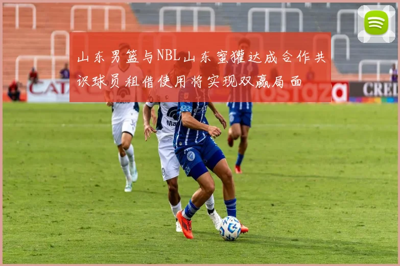 山东男篮与NBL山东蜜獾达成合作共识球员租借使用将实现双赢局面