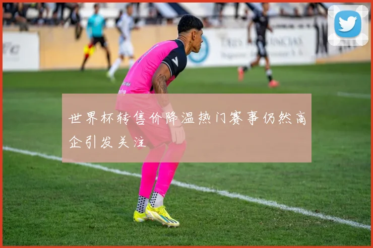 世界杯转售价降温热门赛事仍然高企引发关注